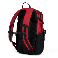 TEAM PRO 20 BACKPACK - RED