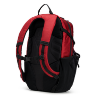TEAM PRO 25 BACKPACK - RED