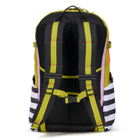 ALPHA 20 BACKPACK - PURPLE PASSION